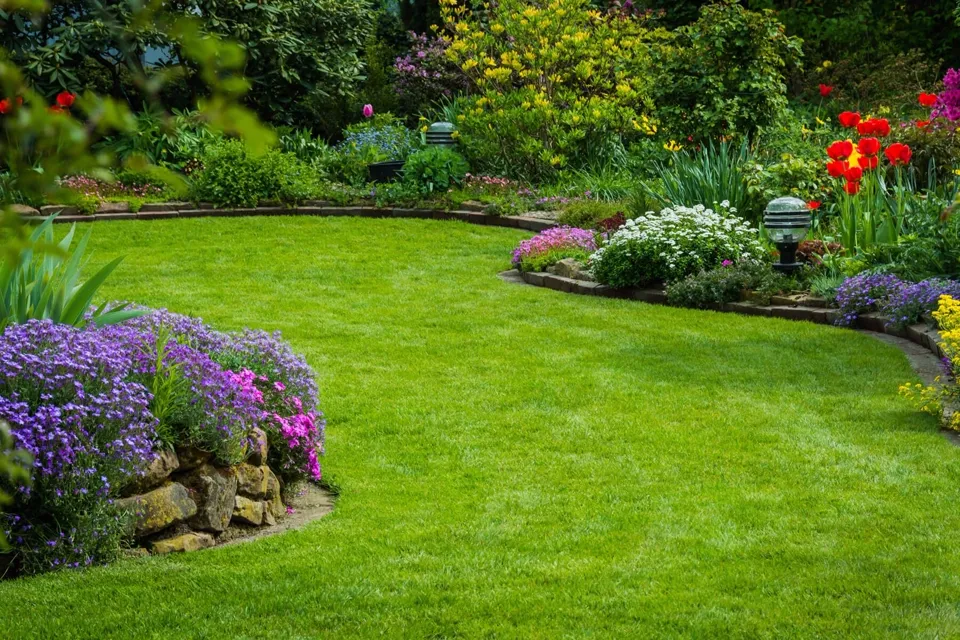 Manicured residential lawn and colorful garden landscaping in Queen Creek