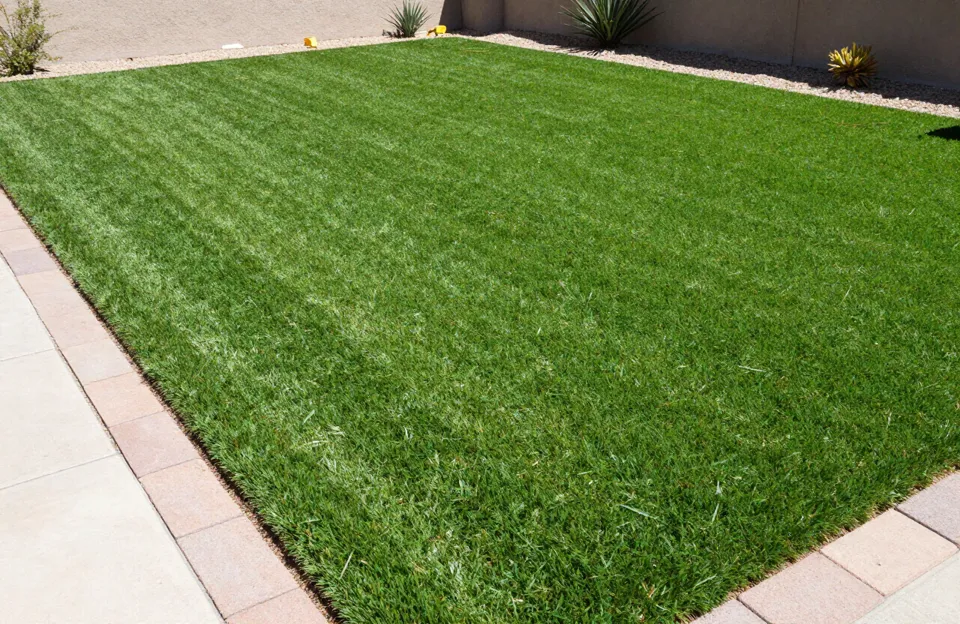 Artificial turf installation in an Arizona backyard